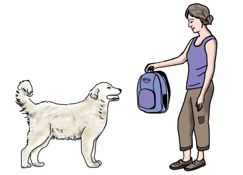 ffrandonnee-comportement-patous